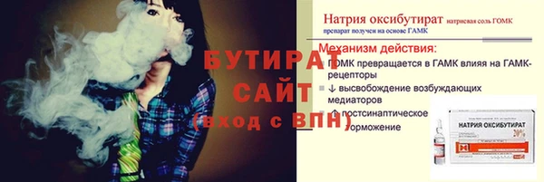 шишки Кедровый