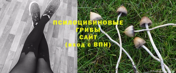 эйфоретик Михайлов