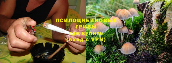 прущие крисы Кемь